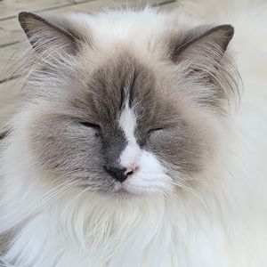 Meet your Posher, Val